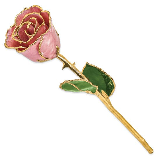 Lacquer Dipped Gold-Trimmed Dusty Pink Real Rose