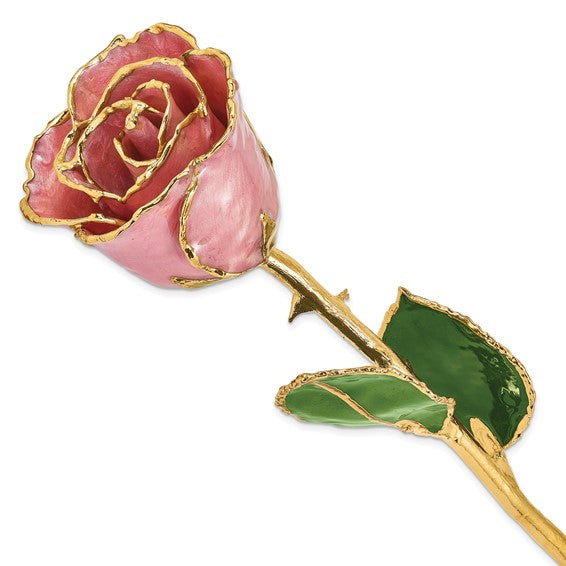 Lacquer Dipped Gold-Trimmed Dusty Pink Real Rose