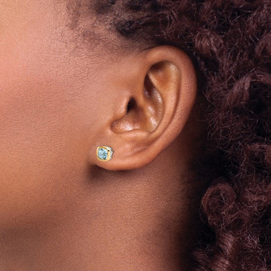 14KY & Sterling Silver Aquamarine Earrings