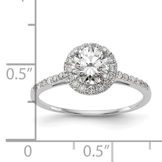 Platinum Engagement Ring w/Halo (Lab Created)